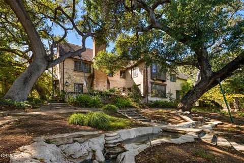 a view of a yard with plants