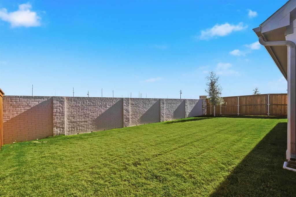 14908 Dust Storm Trail Haslet, TX 76052 - Photo 19 of 20 a view of a backyard with a cabin