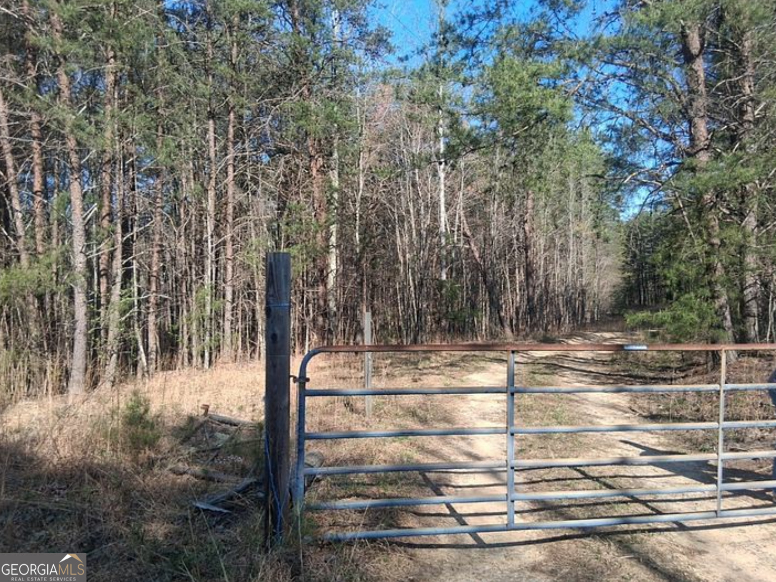 0 Hightower Falls Road Cedartown, GA 30153 - Photo 13 of 20