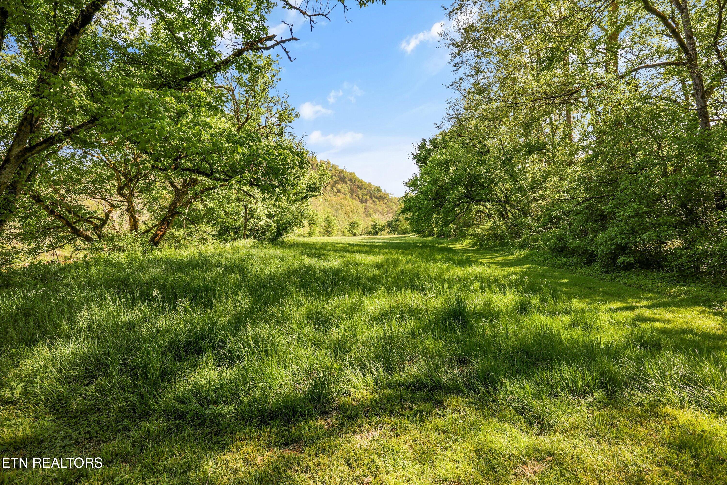 4151 Cave Springs Road Tazewell, TN 37879 - Photo 46 of 48 59A61915-9A8C-4AF1-86A0-6717E9FA2451
