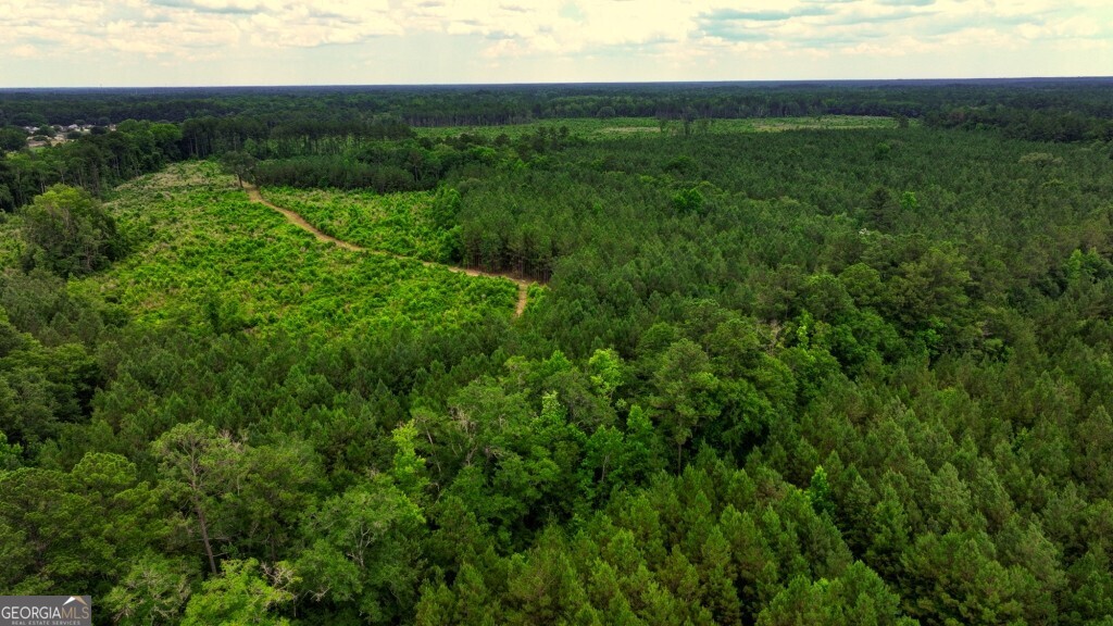 0 Highway 204 & Carlos Cowart Road Pembroke, GA 31321 - Photo 3 of 47