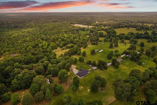 an aerial view of residential houses with outdoor space and trees