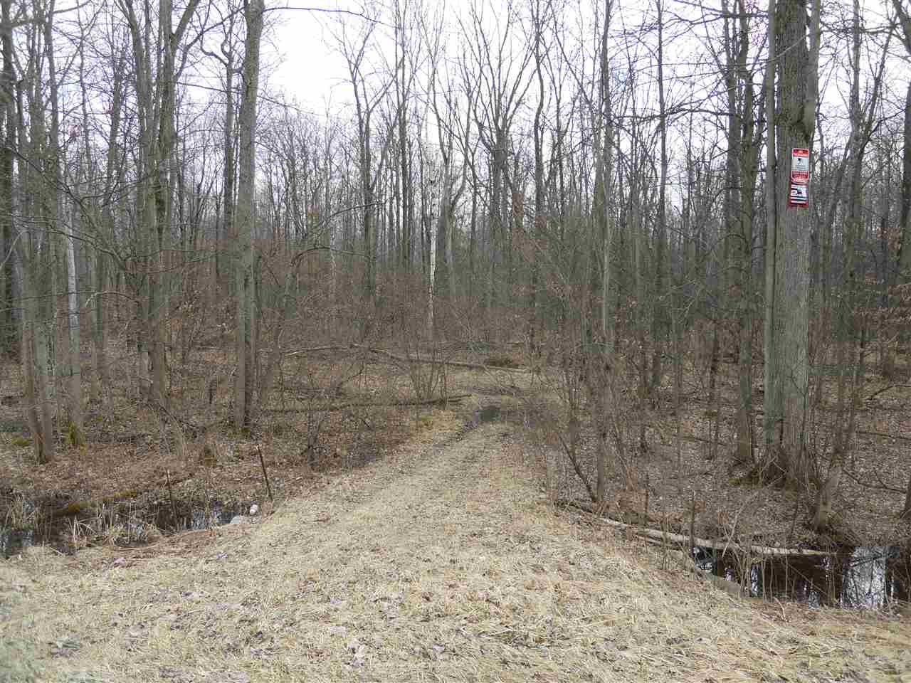 Ormes Road Millington, MI 48746 - Photo 3 of 7
