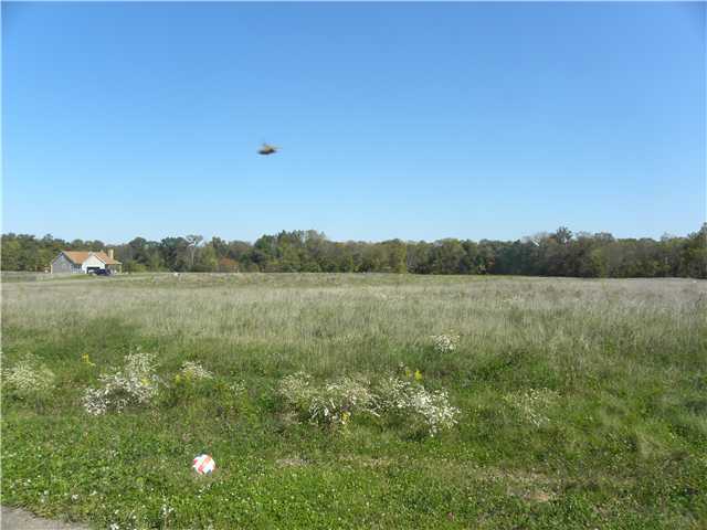 0 Treesong Road, Unit LOT 7 Marengo, OH 43334 - Photo 2 of 3