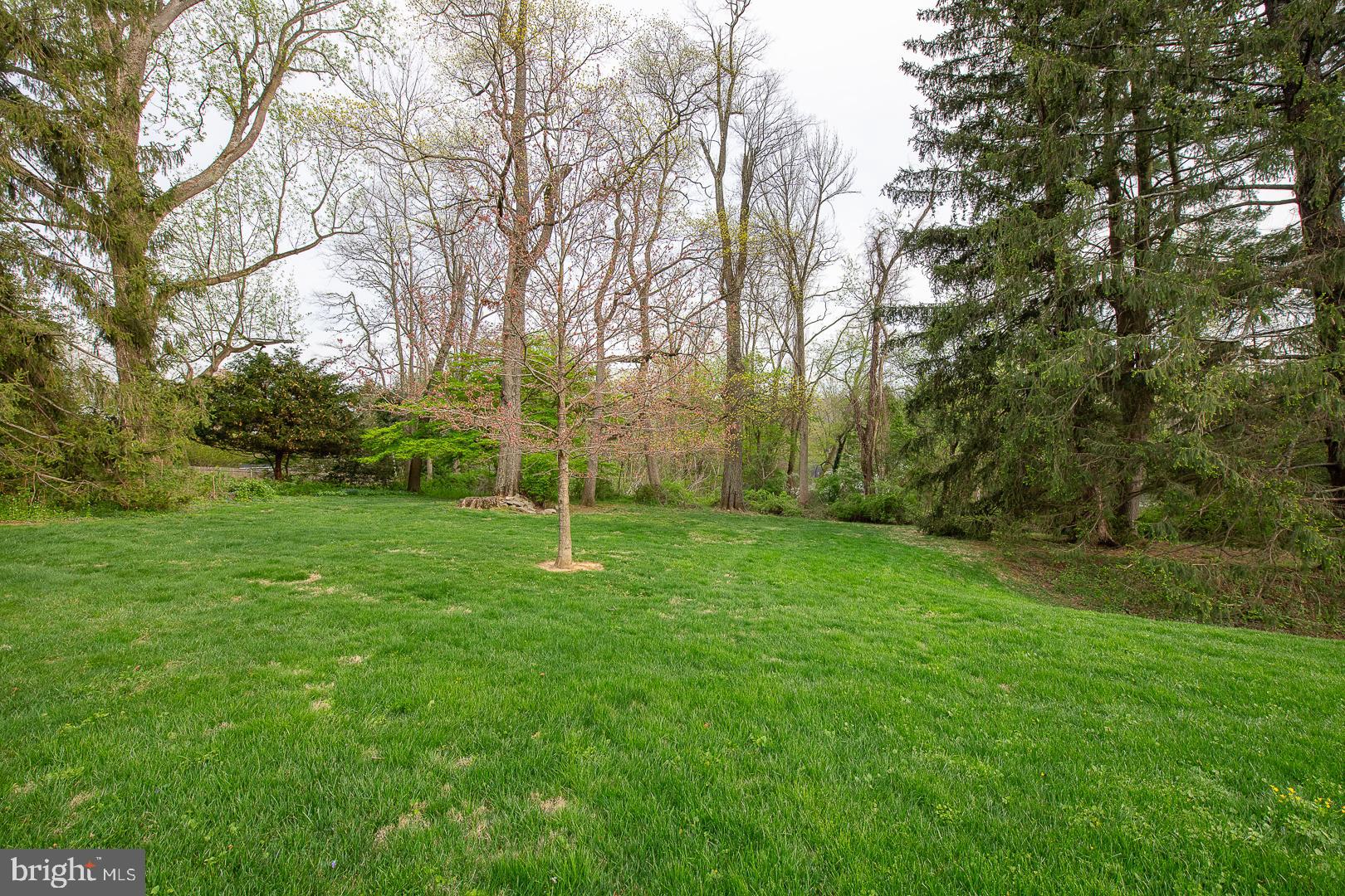 120 Pine Tree Road Radnor, PA 19087 - Photo 35 of 37 Completely private backyard