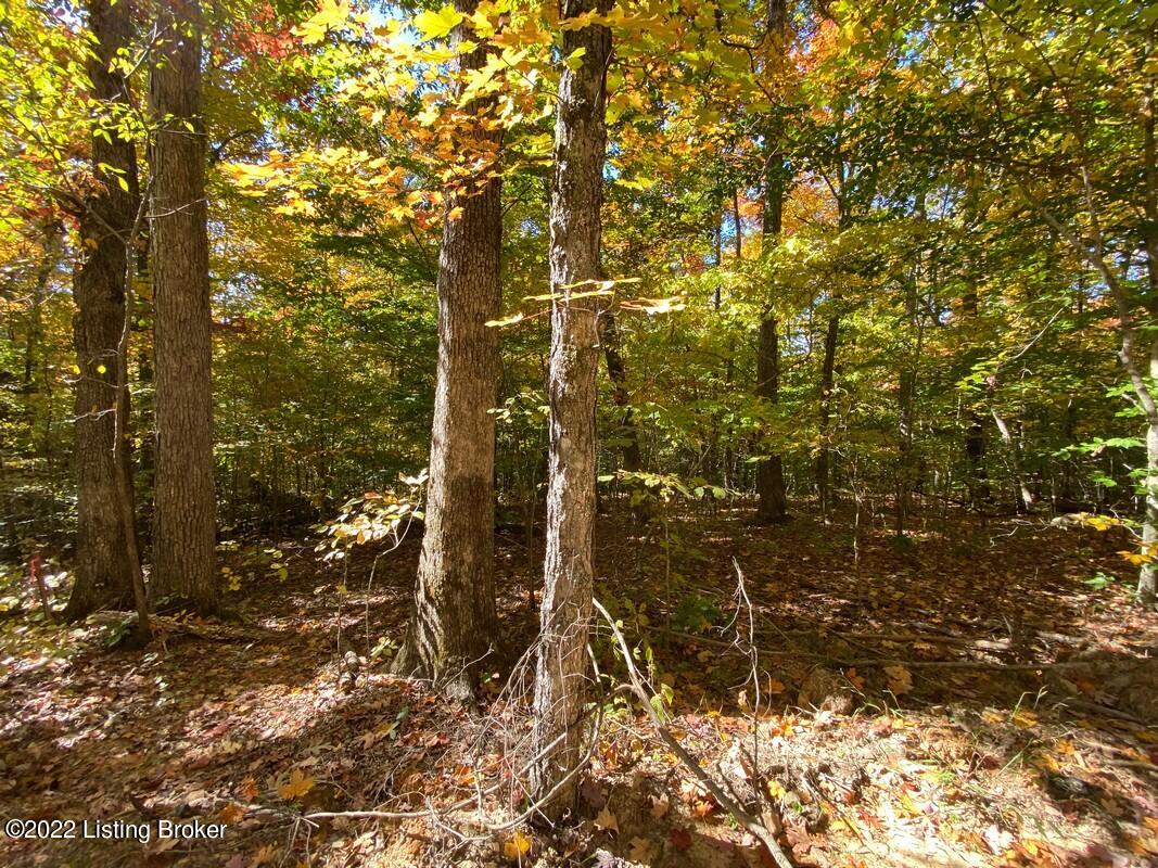L8 Ted Logsdon Road Clarkson, KY 42726 - Photo 12 of 13 River View 101322280