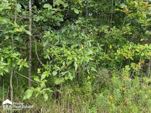 0 Belle River Road Allenton, MI 48002 - Photo 4 of 10