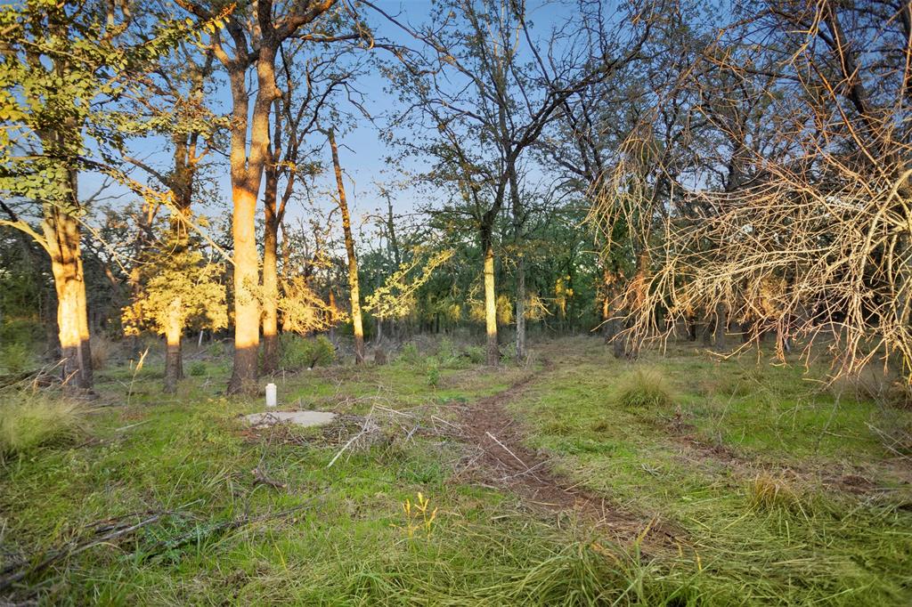 204 North Cheyenne Springtown, TX 76082 - Photo 2 of 12 a view of yard with green space