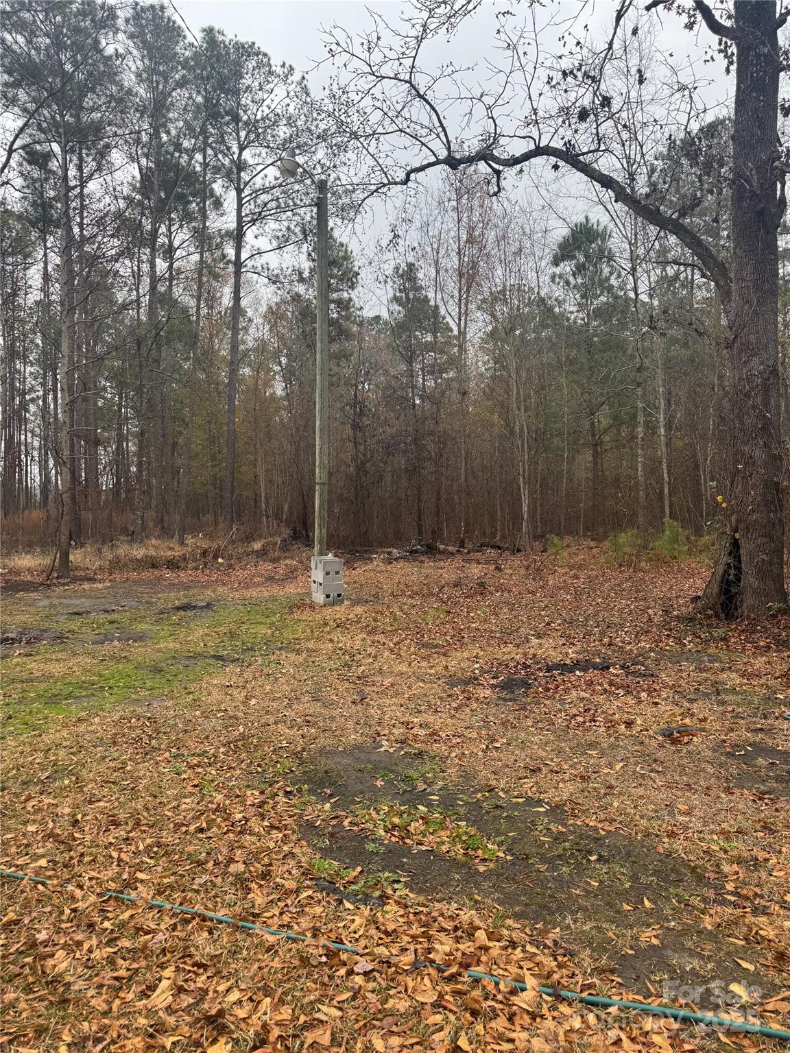 3633 Sandy Flats Road Society Hill, SC 29593 - Photo 22 of 23