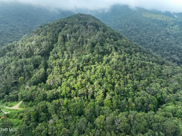 $149,900 | 0 Sylvan Way, Unit 10, Roan Mountain, TN 37687