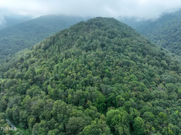 $149,900 | 0 Sylvan Way, Unit 10, Roan Mountain, TN 37687