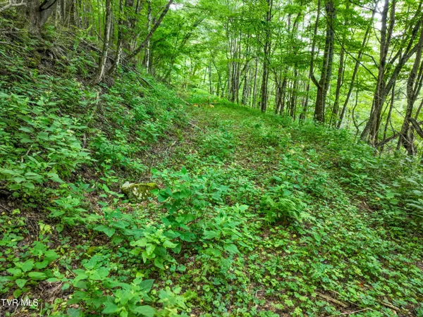 $149,900 | 0 Sylvan Way, Unit 10, Roan Mountain, TN 37687