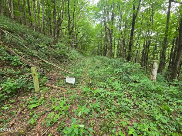 $149,900 | 0 Sylvan Way, Unit 10, Roan Mountain, TN 37687