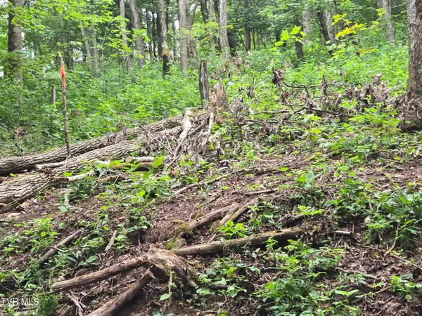 $149,900 | 0 Sylvan Way, Unit 10, Roan Mountain, TN 37687