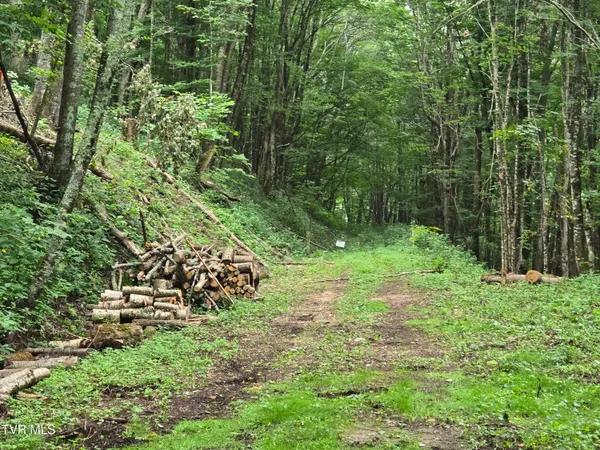 $149,900 | 0 Sylvan Way, Unit 10, Roan Mountain, TN 37687