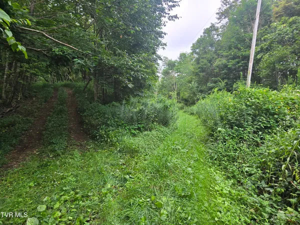 $149,900 | 0 Sylvan Way, Unit 10, Roan Mountain, TN 37687