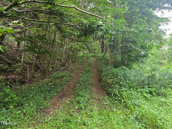 $149,900 | 0 Sylvan Way, Unit 10, Roan Mountain, TN 37687