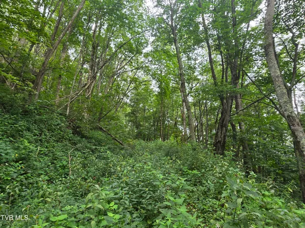 $149,900 | 0 Sylvan Way, Unit 10, Roan Mountain, TN 37687