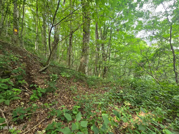 $149,900 | 0 Sylvan Way, Unit 10, Roan Mountain, TN 37687
