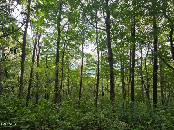 $149,900 | 0 Sylvan Way, Unit 10, Roan Mountain, TN 37687