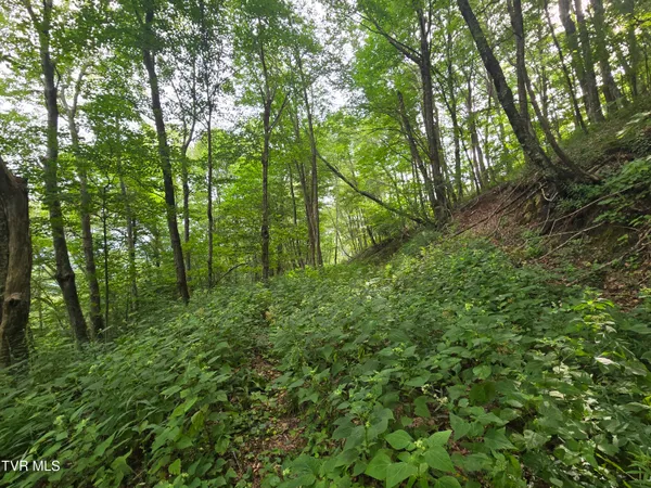 $149,900 | 0 Sylvan Way, Unit 10, Roan Mountain, TN 37687