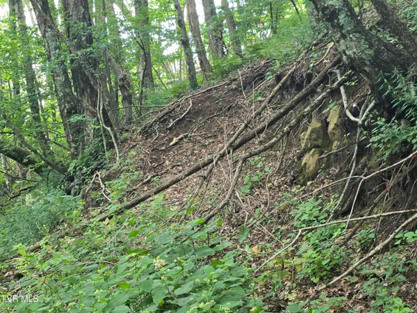 $149,900 | 0 Sylvan Way, Unit 10, Roan Mountain, TN 37687