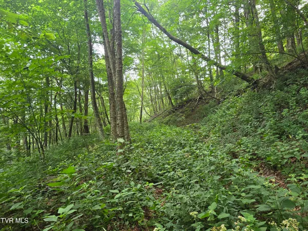 $149,900 | 0 Sylvan Way, Unit 10, Roan Mountain, TN 37687