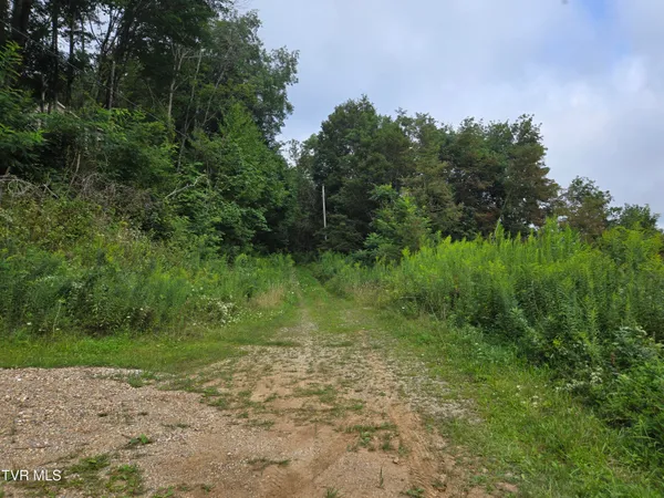 $149,900 | 0 Sylvan Way, Unit 10, Roan Mountain, TN 37687