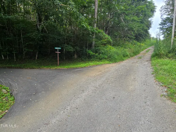 $149,900 | 0 Sylvan Way, Unit 10, Roan Mountain, TN 37687