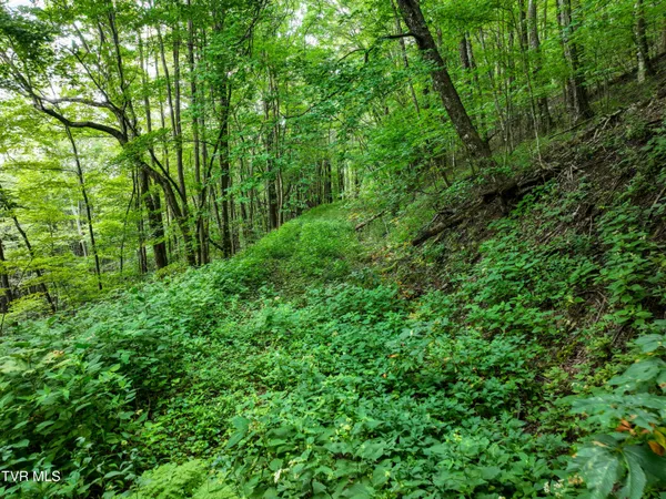 $149,900 | 0 Sylvan Way, Unit 10, Roan Mountain, TN 37687