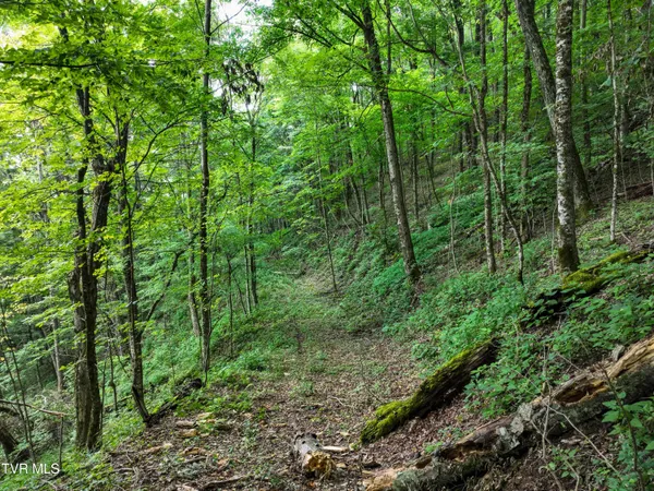 $149,900 | 0 Sylvan Way, Unit 10, Roan Mountain, TN 37687