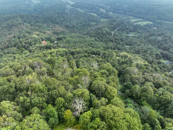 $149,900 | 0 Sylvan Way, Unit 10, Roan Mountain, TN 37687