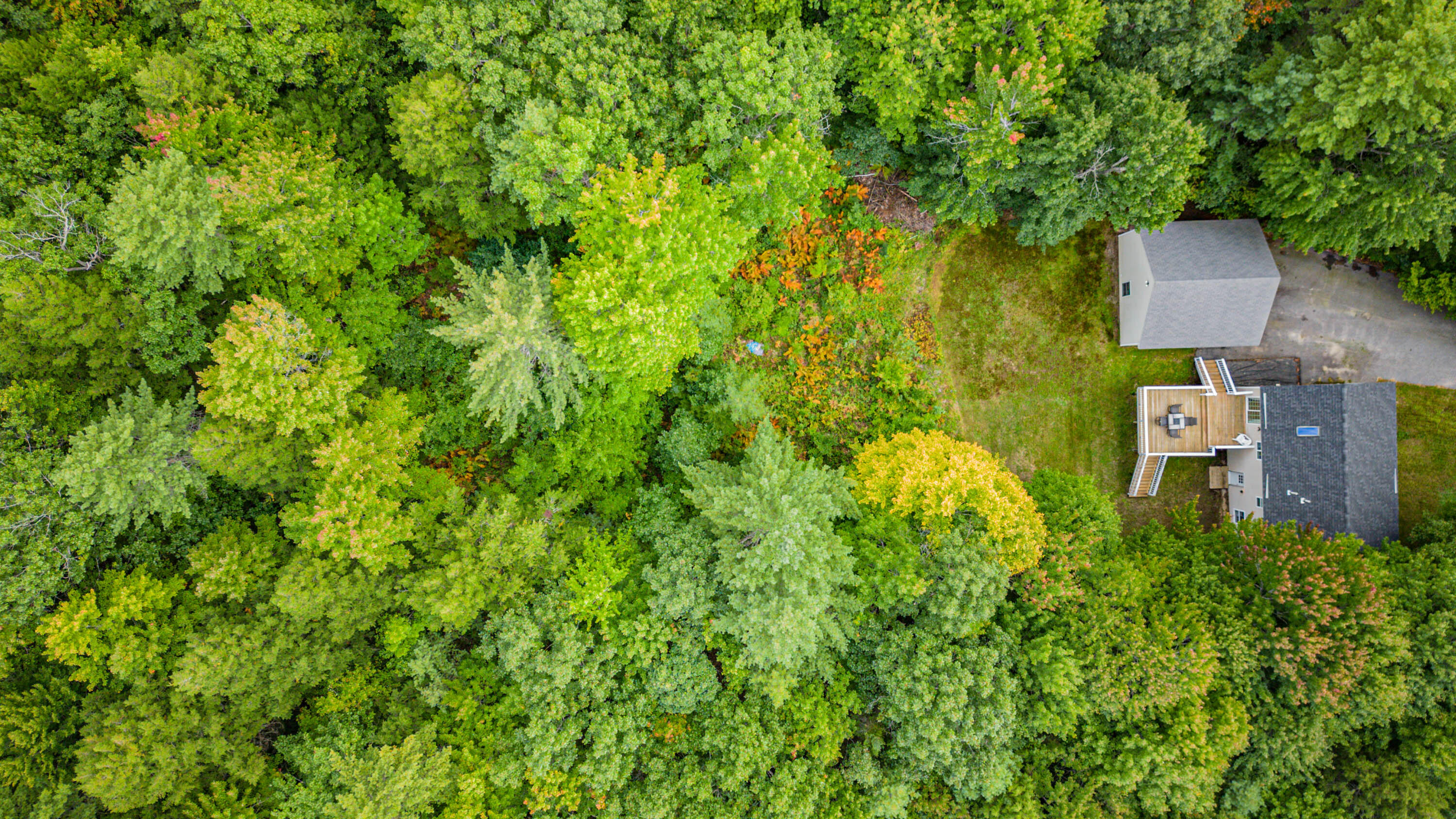 12 Deer Acres Road Standish, ME 04084 - Photo 56 of 61 20220921gp-63057