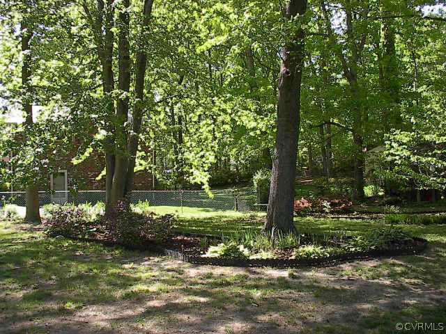 1900 Nortonia Road Richmond, VA 23229 - Photo 8 of 8 Other - Back Yard