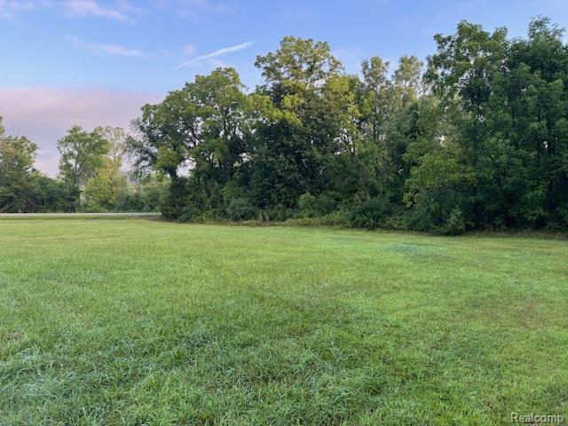 0 Teggerdine Road White Lake, MI 48386 - Photo 2 of 7