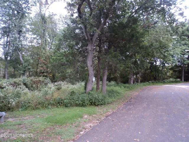 a big yard with lots of green space and deers