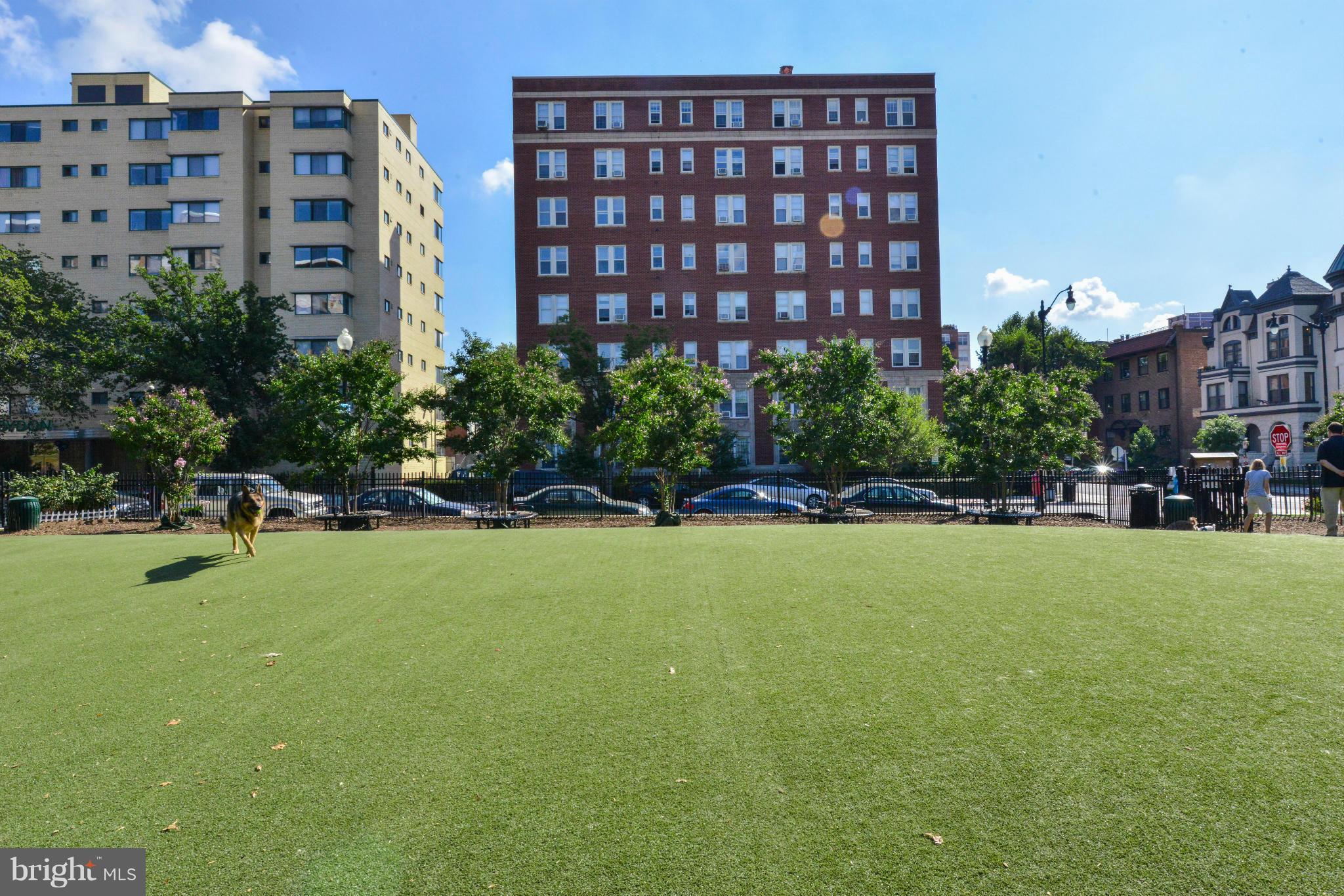 1717 T Street Northwest, Unit 21 Washington, DC 20009 - Photo 25 of 29 Community- Dupont Circle