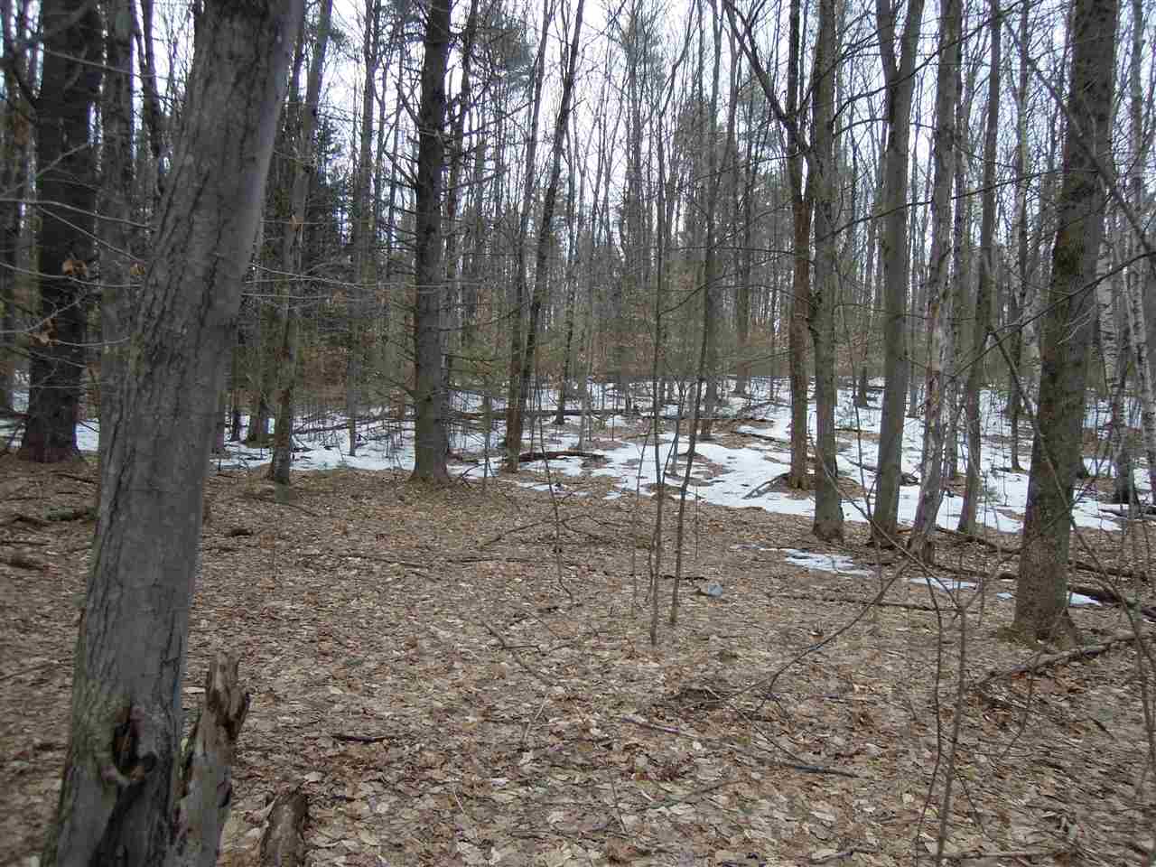 0 Streeter Hill Road Chesterfield, NH 03443 - Photo 2 of 14