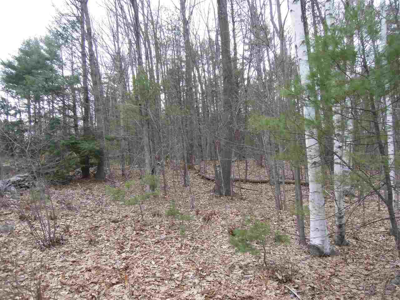 0 Streeter Hill Road Chesterfield, NH 03443 - Photo 11 of 14