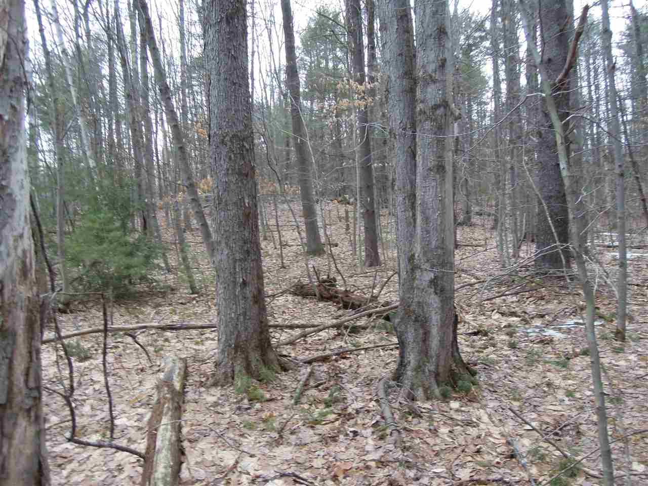 0 Streeter Hill Road Chesterfield, NH 03443 - Photo 3 of 14