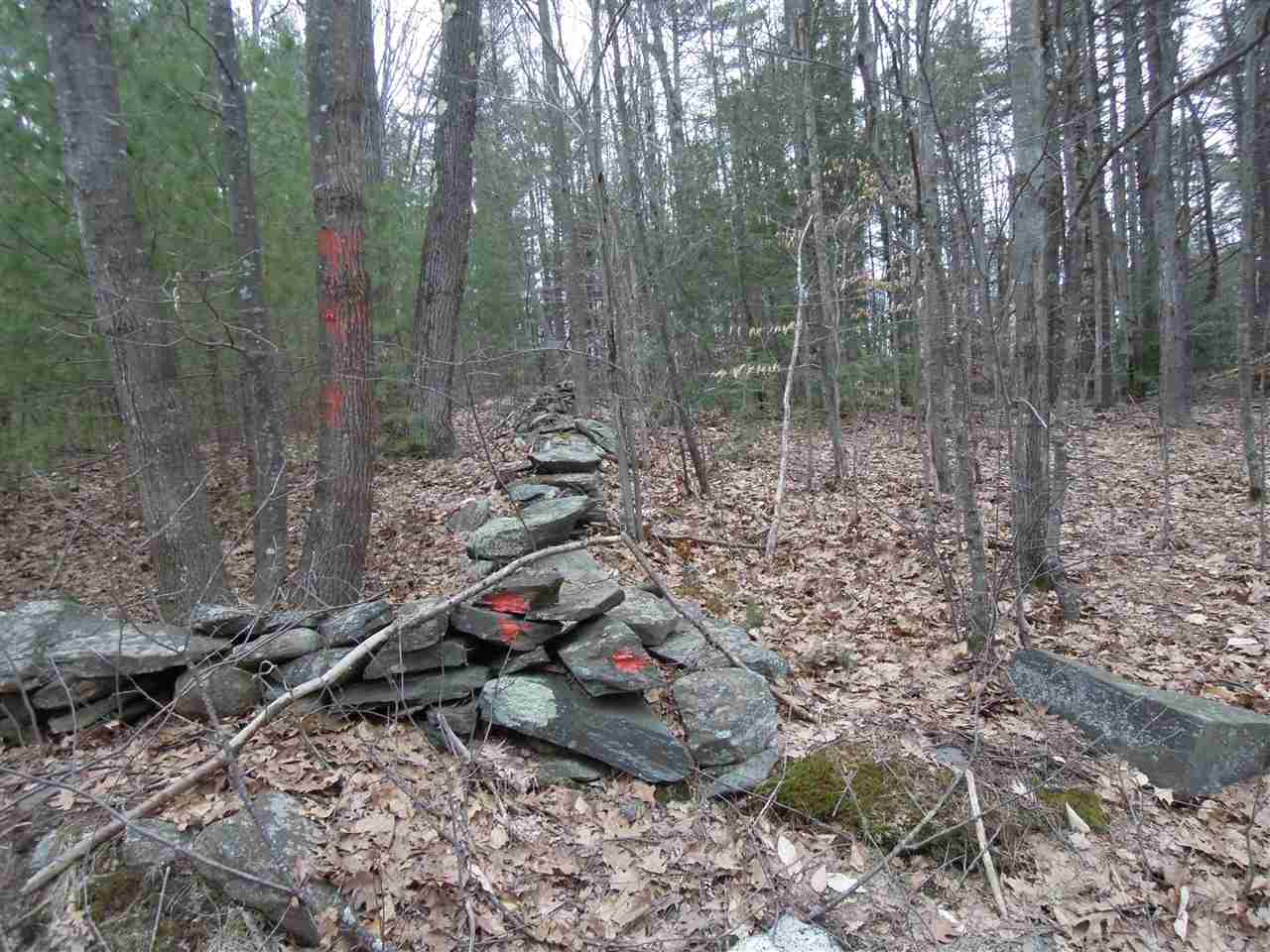 0 Streeter Hill Road Chesterfield, NH 03443 - Photo 4 of 14