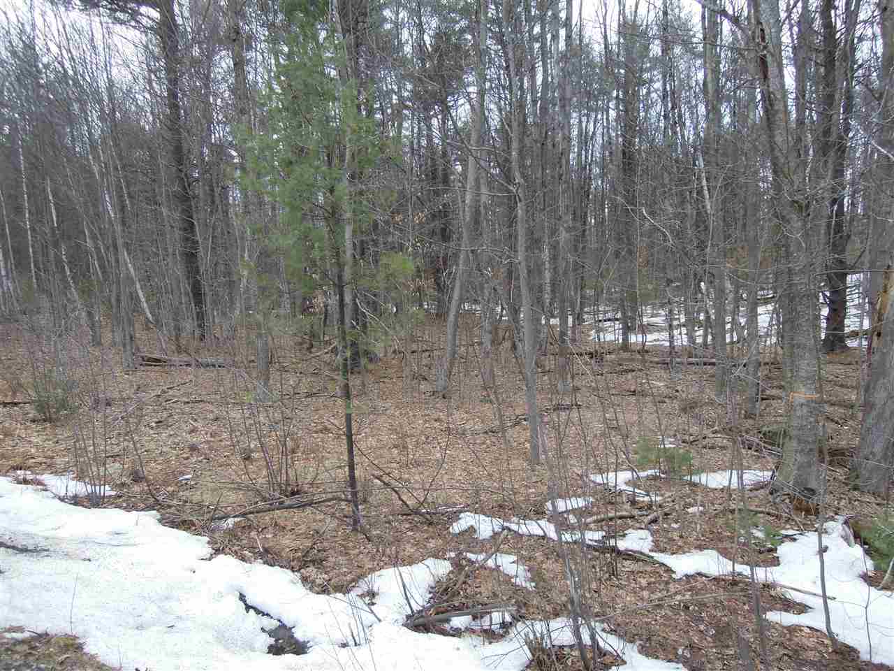 0 Streeter Hill Road Chesterfield, NH 03443 - Photo 5 of 14