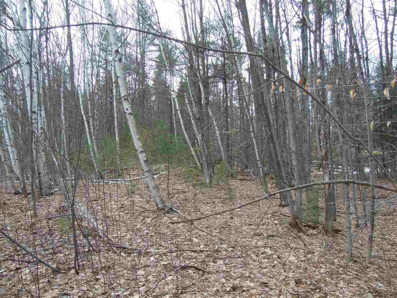 0 Streeter Hill Road Chesterfield, NH 03443 - Photo 6 of 14