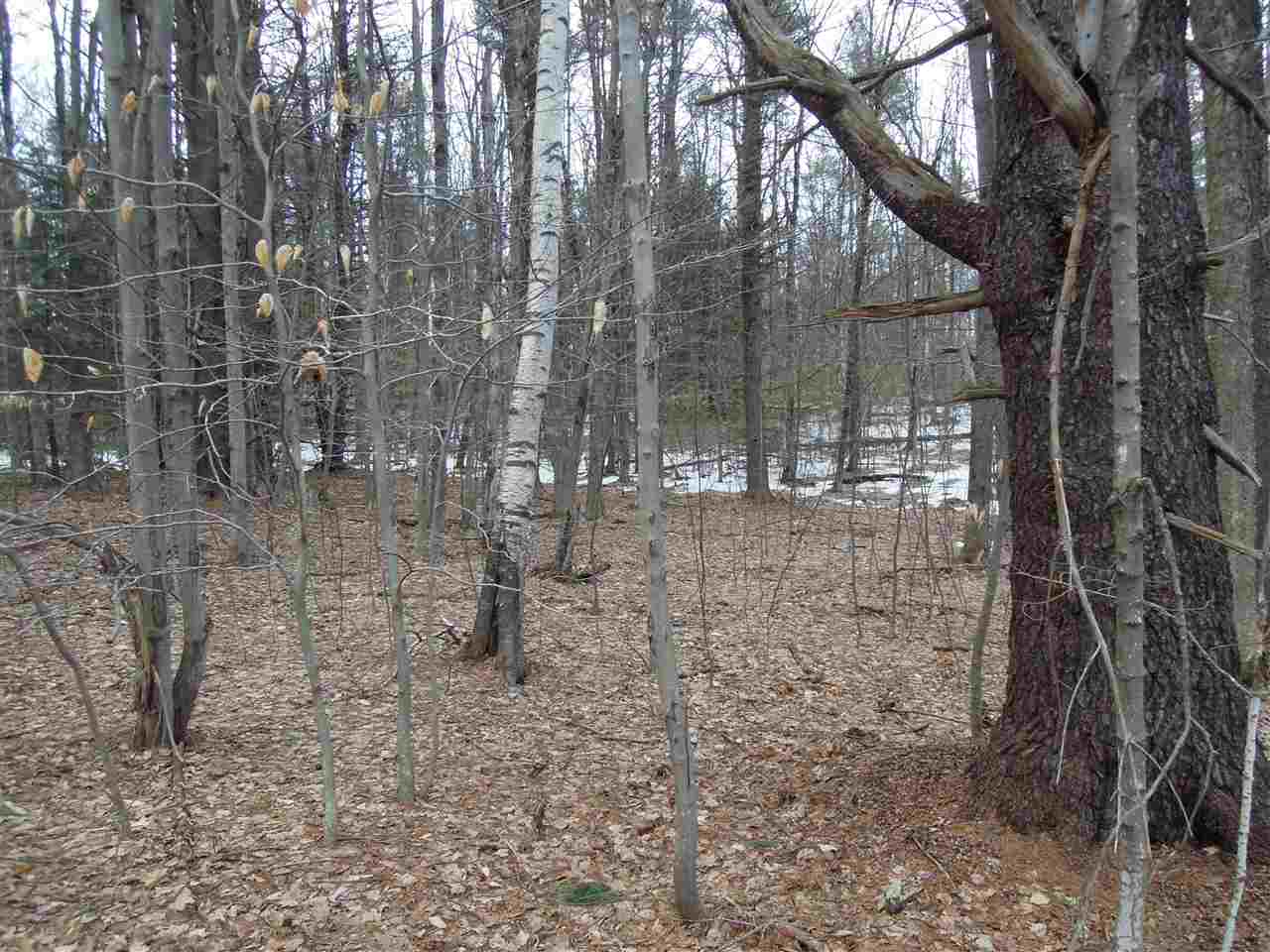 0 Streeter Hill Road Chesterfield, NH 03443 - Photo 7 of 14
