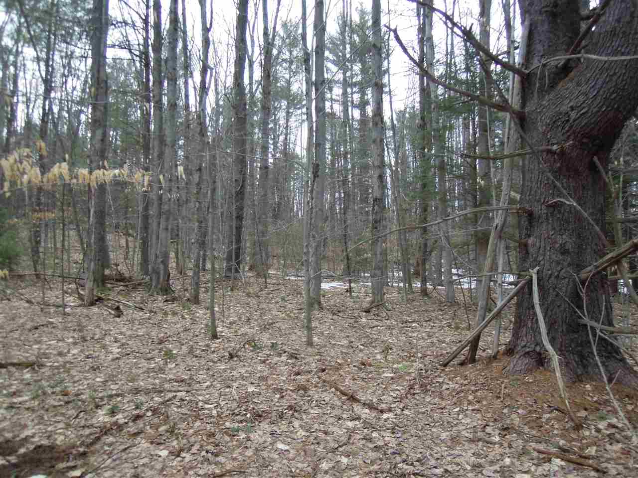 0 Streeter Hill Road Chesterfield, NH 03443 - Photo 8 of 14