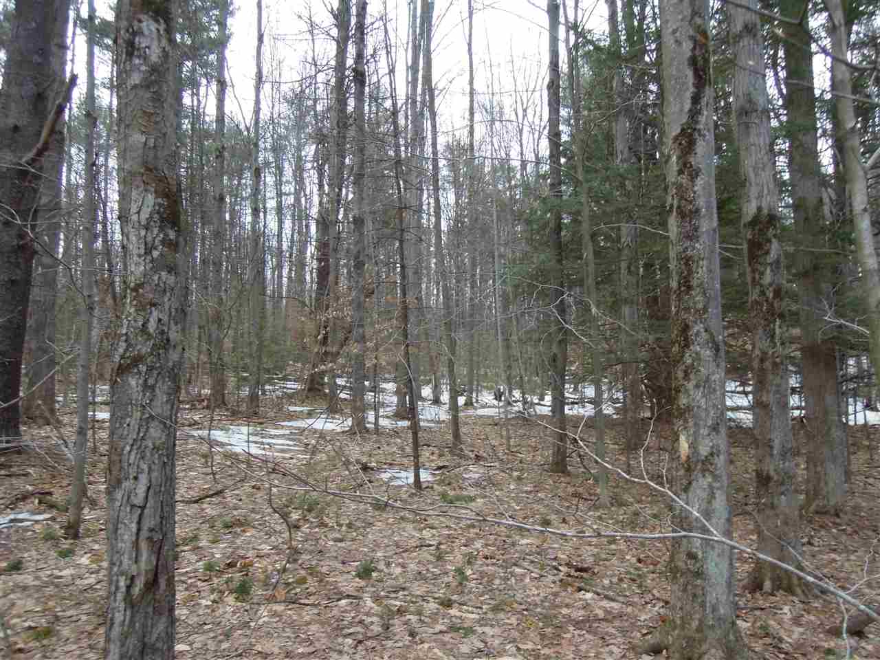 0 Streeter Hill Road Chesterfield, NH 03443 - Photo 9 of 14