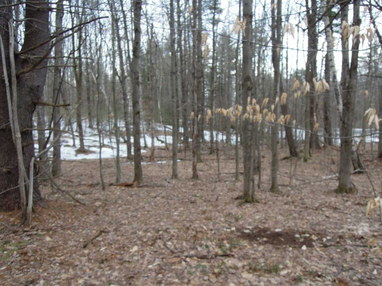 0 Streeter Hill Road Chesterfield, NH 03443 - Photo 10 of 14