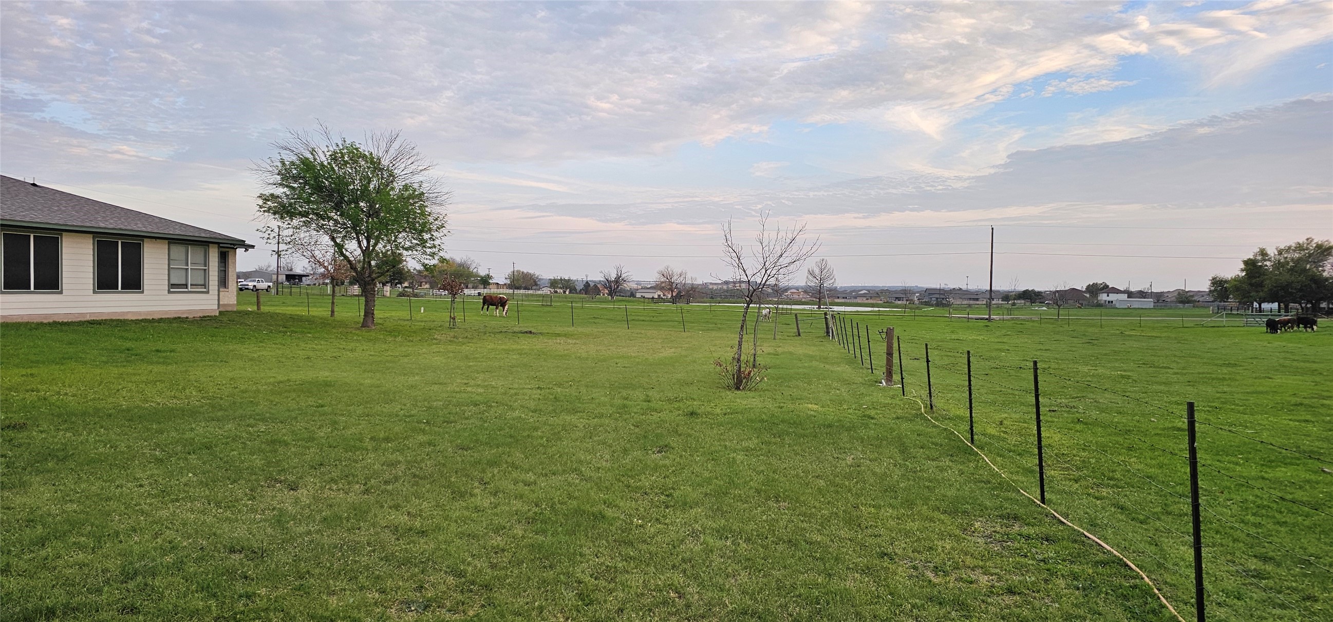 16 Brenda Lane Round Rock, TX 78665 - Photo 2 of 40 a view of a golf course with a garden