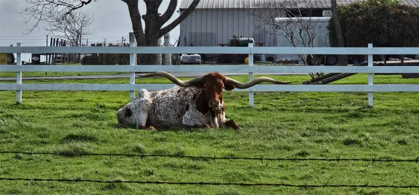 $4,450 | 16 Brenda Lane, Round Rock, TX 78665