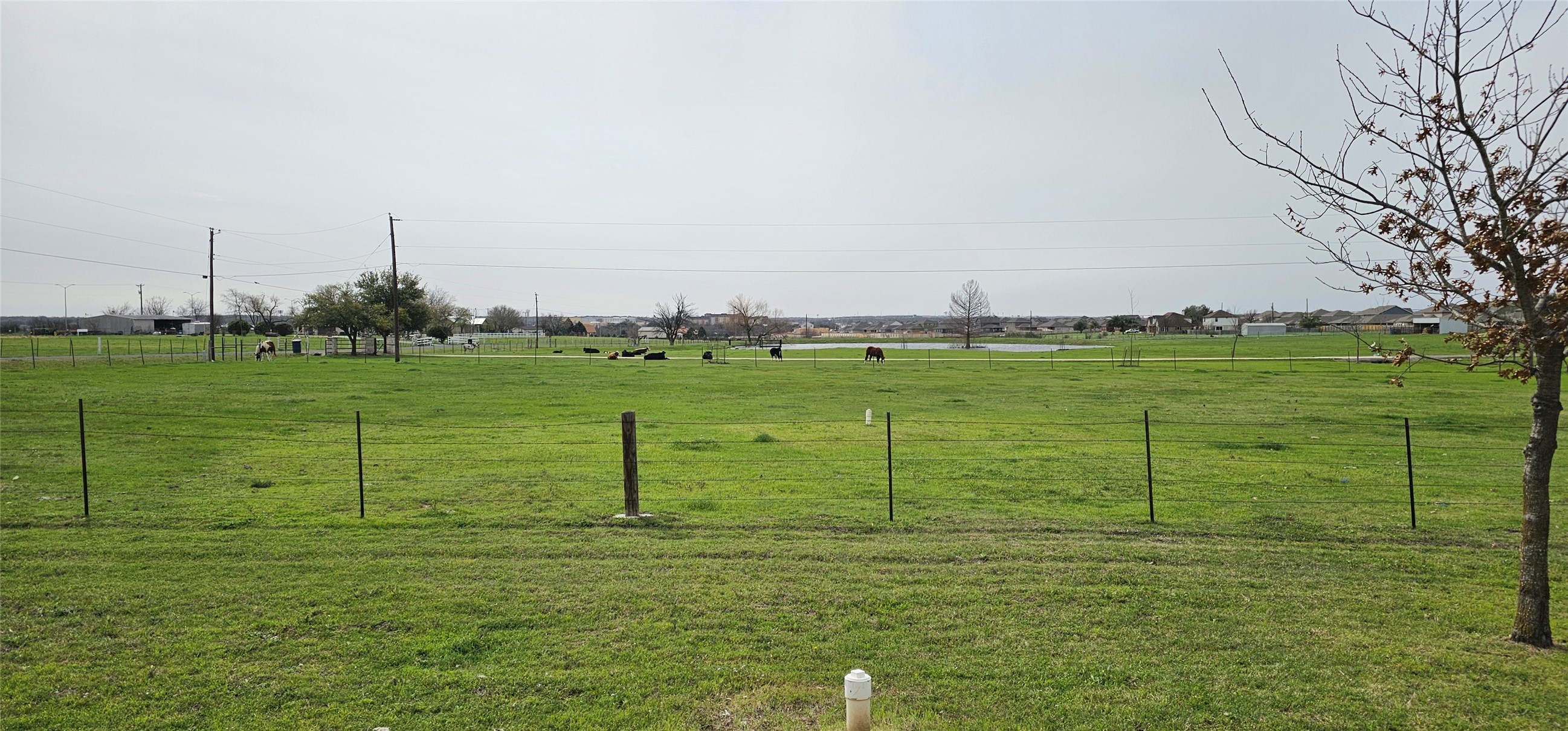 16 Brenda Lane Round Rock, TX 78665 - Photo 4 of 40 a view of a grassy area with an trees